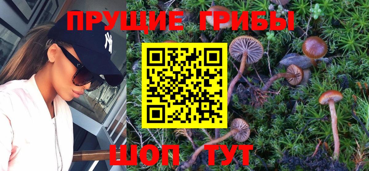 Псилоцибиновые грибы Magic Shrooms Крымск