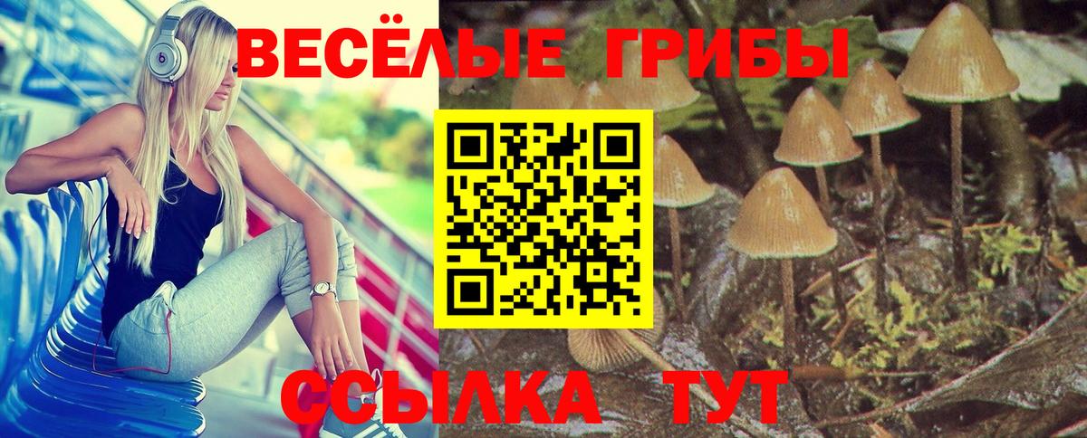 Псилоцибиновые грибы прущие грибы  Вход с VPN  Псилоцибиновые грибы Psilocybe  Крымск 